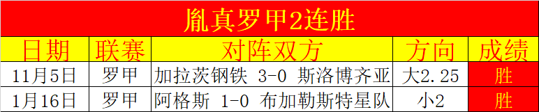 绿军球迷感,激马祖拉,深知肩负球,球探体育官网,球探体育app下载,球探体育,球探体育网址