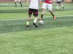 拜仁与萨内,续约谈判将,推迟至国际,球探体育官网,球探体育app下载,球探体育,球探体育网址